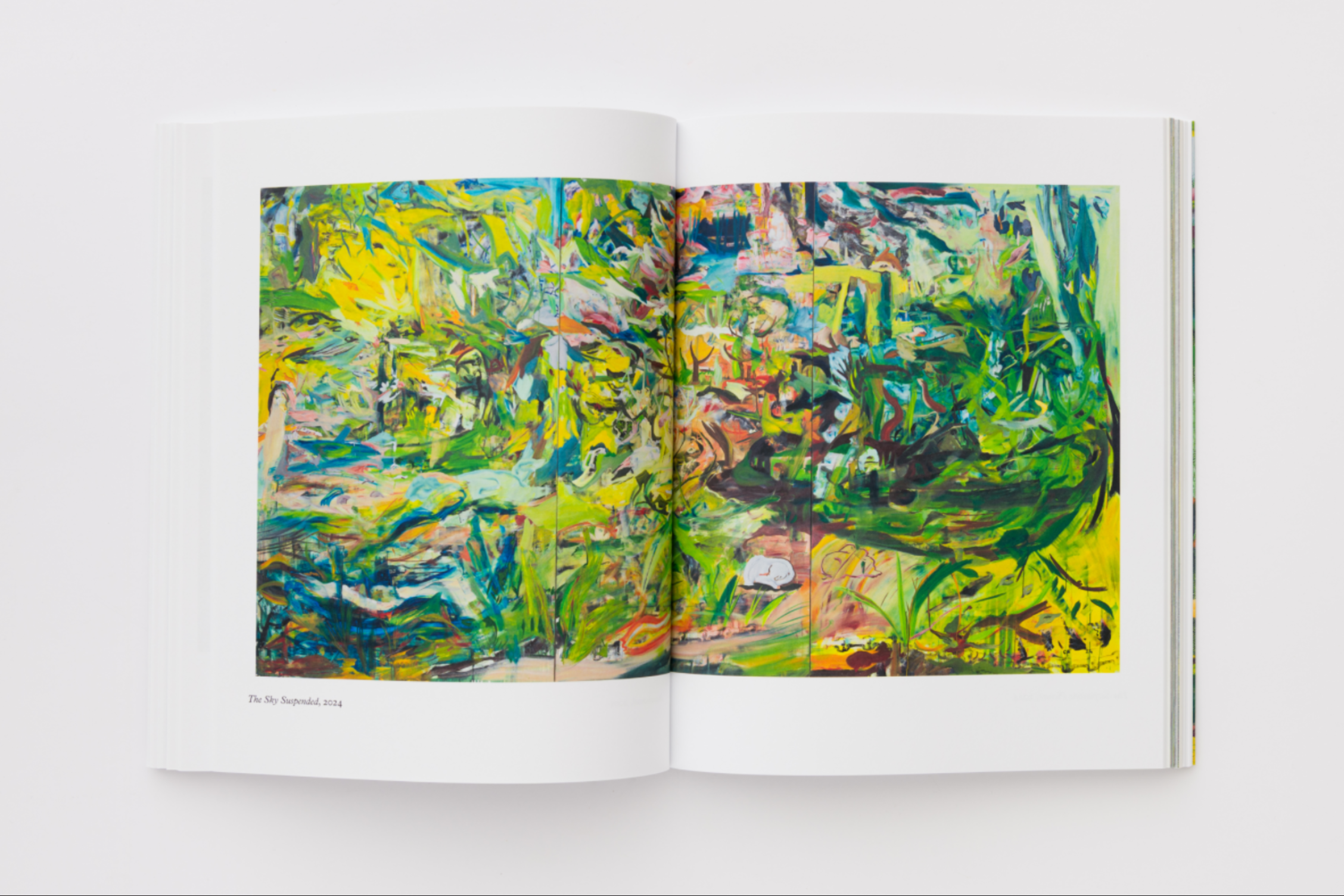Open book displaying abstract art with vibrant colors on a white background