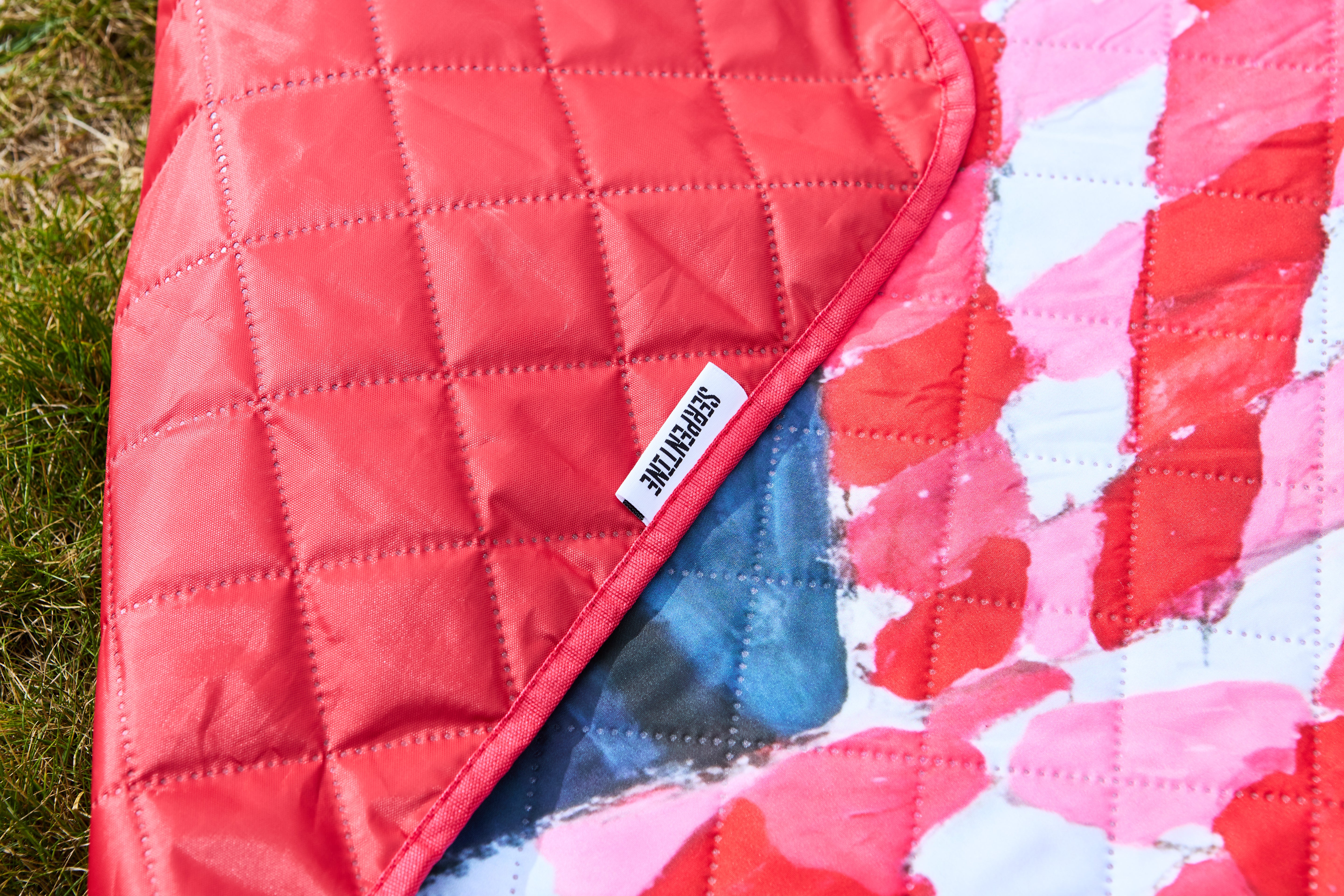 Abstraction Resting on a Red and White Checkered Tablecloth Picnic Blanket