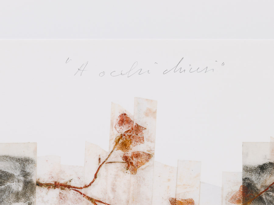 Giuseppe Penone: A occhi chiusi (With Closed Eyes)