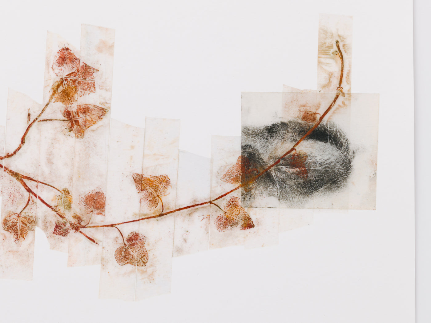 Giuseppe Penone: A occhi chiusi (With Closed Eyes)