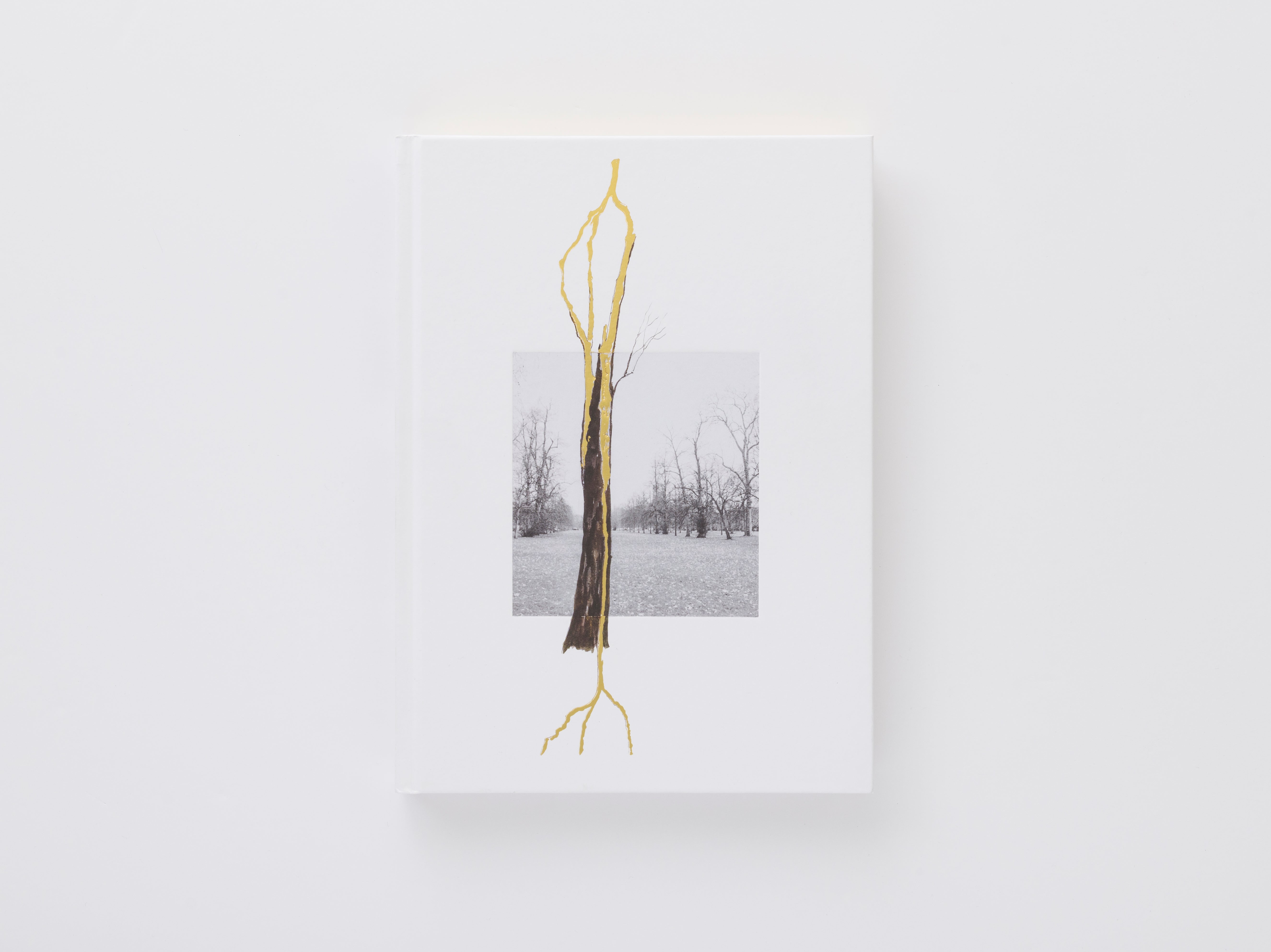アート・デザイン・音楽 Giuseppe Penone Writings 1968-2008 Giuseppe Penone - Works | The Lapis Press