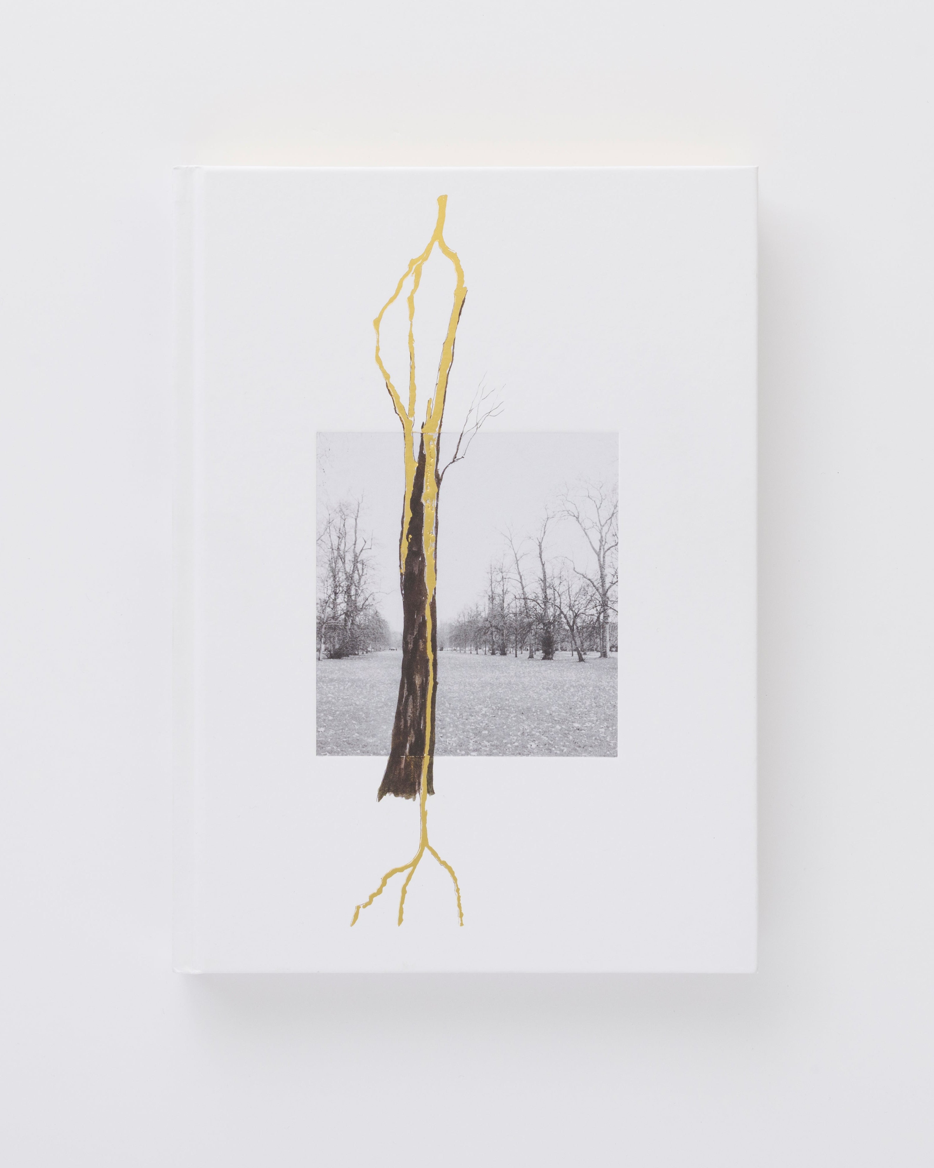 Thoughts in the Roots