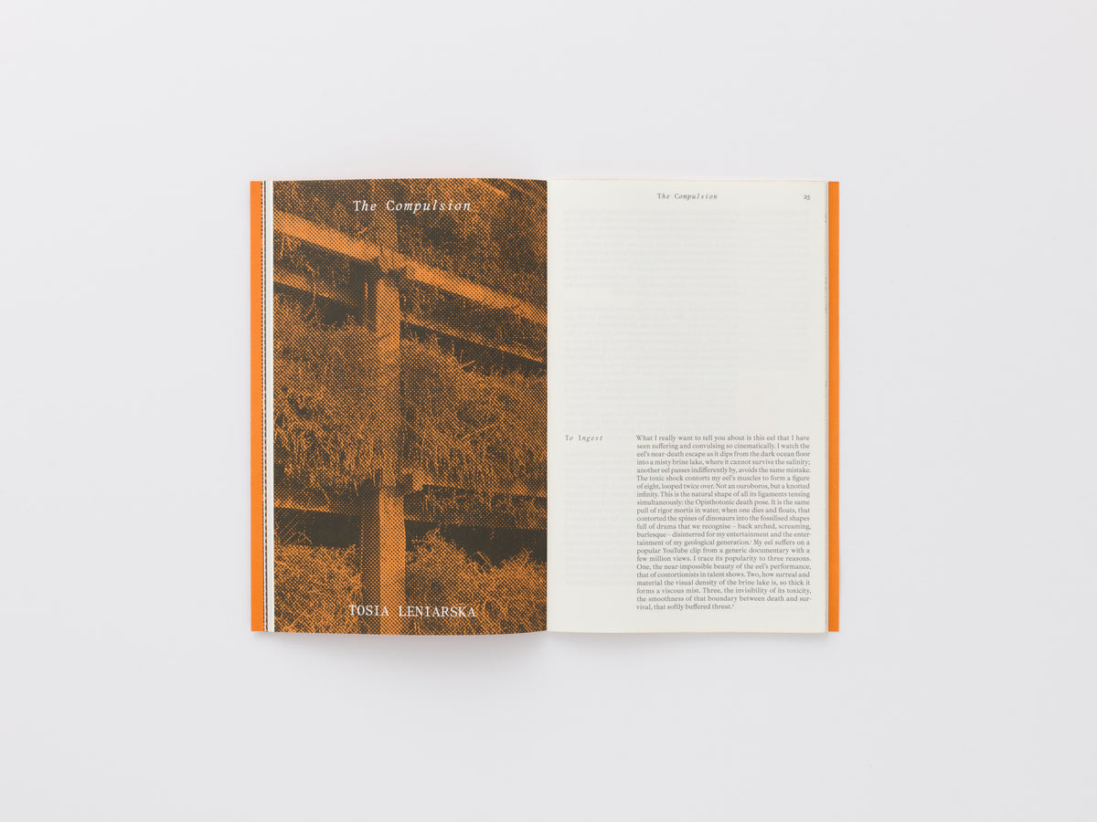 Serpentine Reader, Issue 01