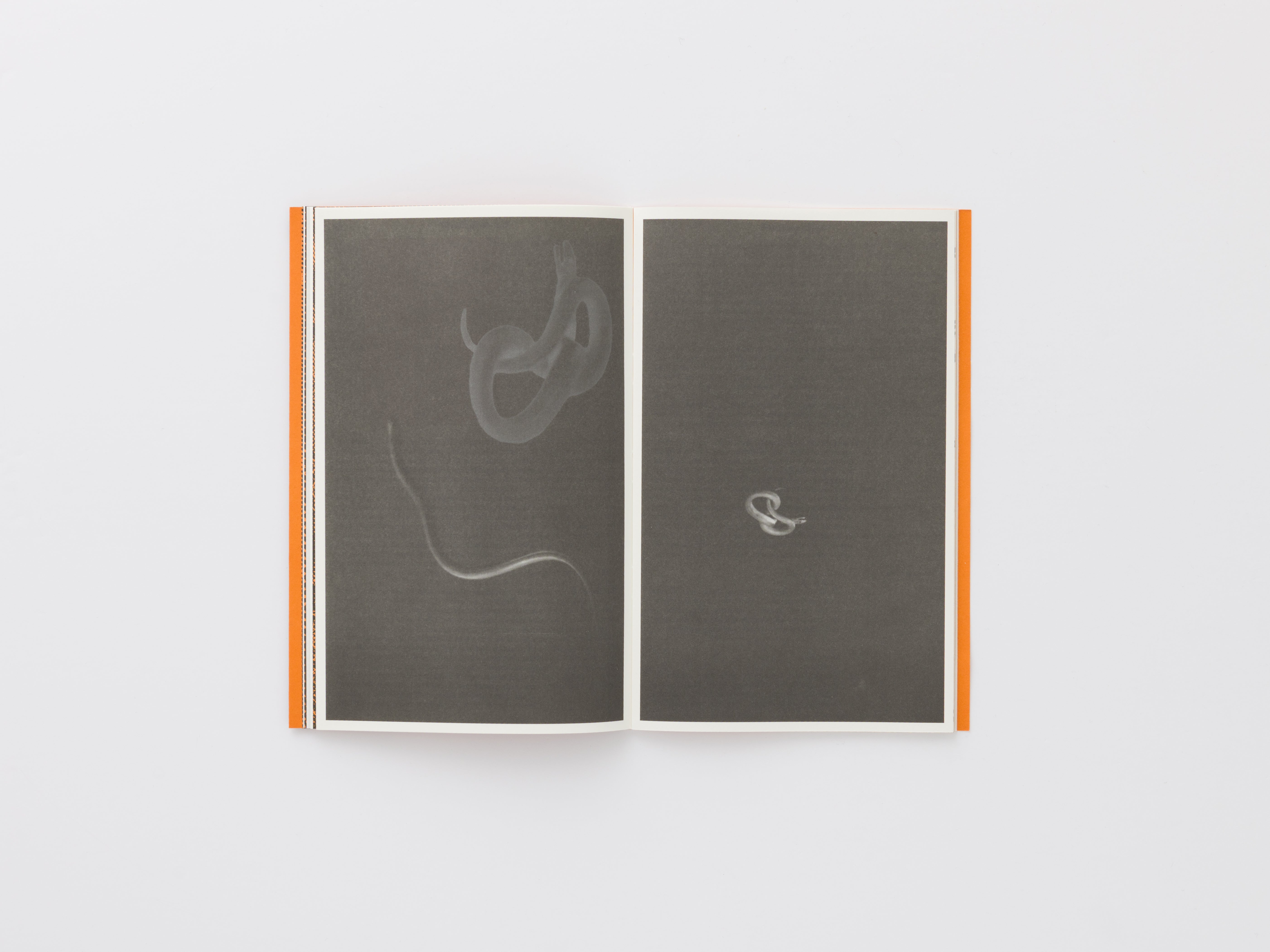 Serpentine Reader, Issue 01