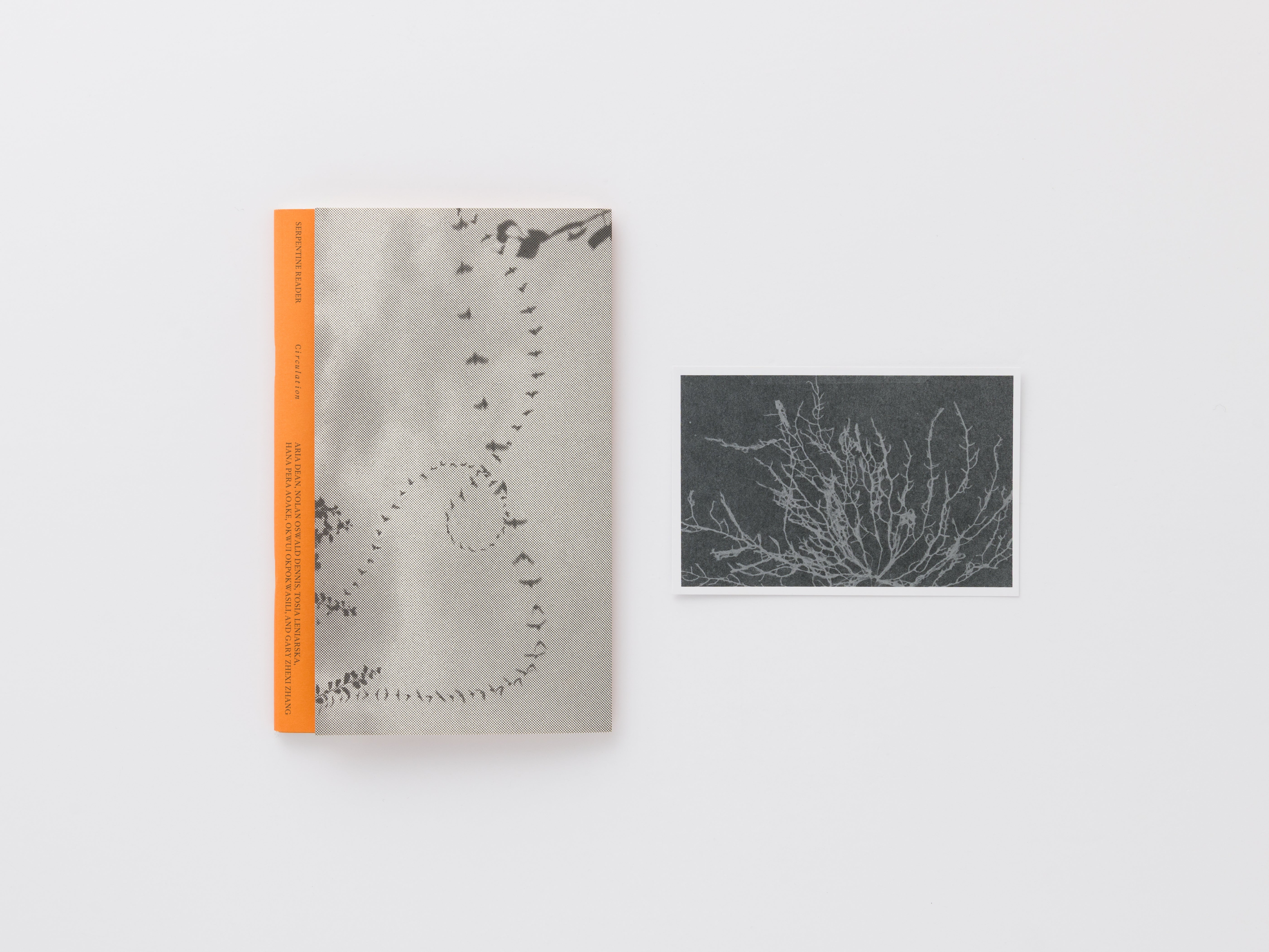 Serpentine Reader, Issue 01