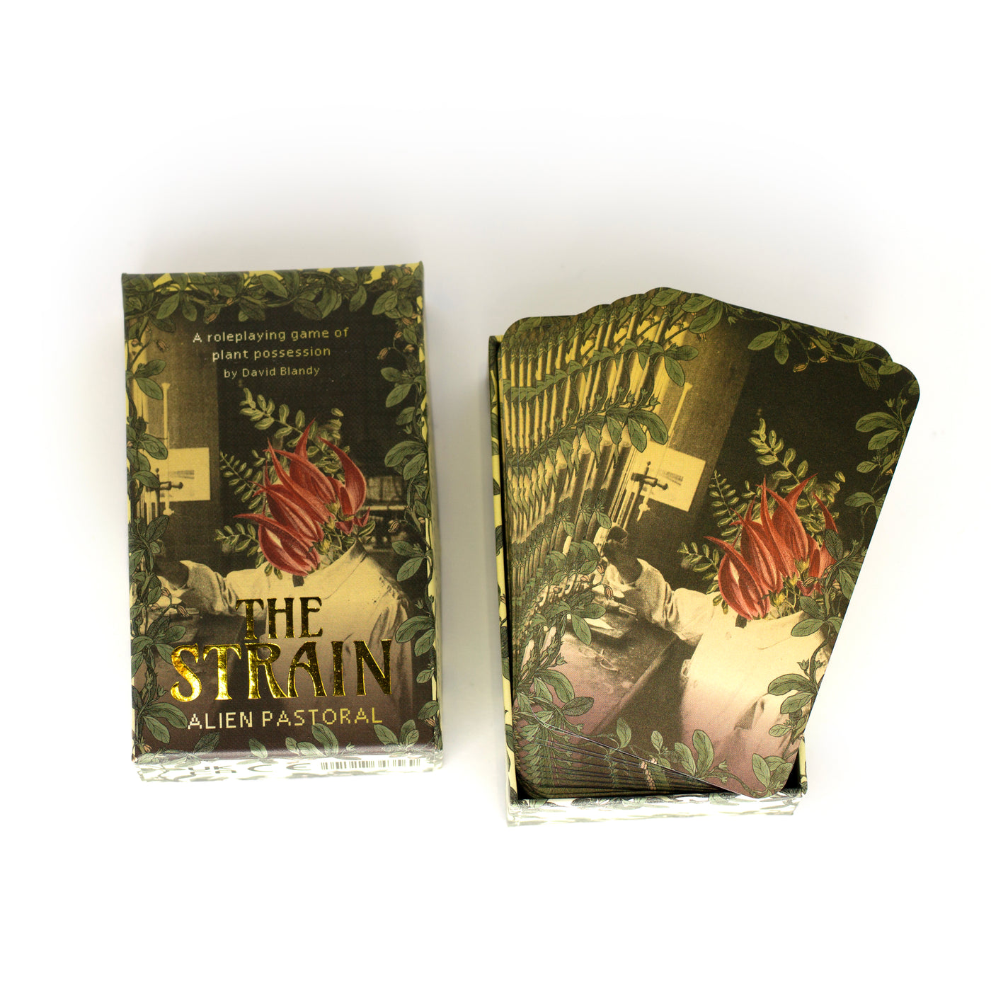 David Blandy: Alien Pastoral - The Strain