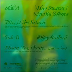 Hito Steyerl / Kojey Radical / Susuma Yokota Power Plants Vinyl