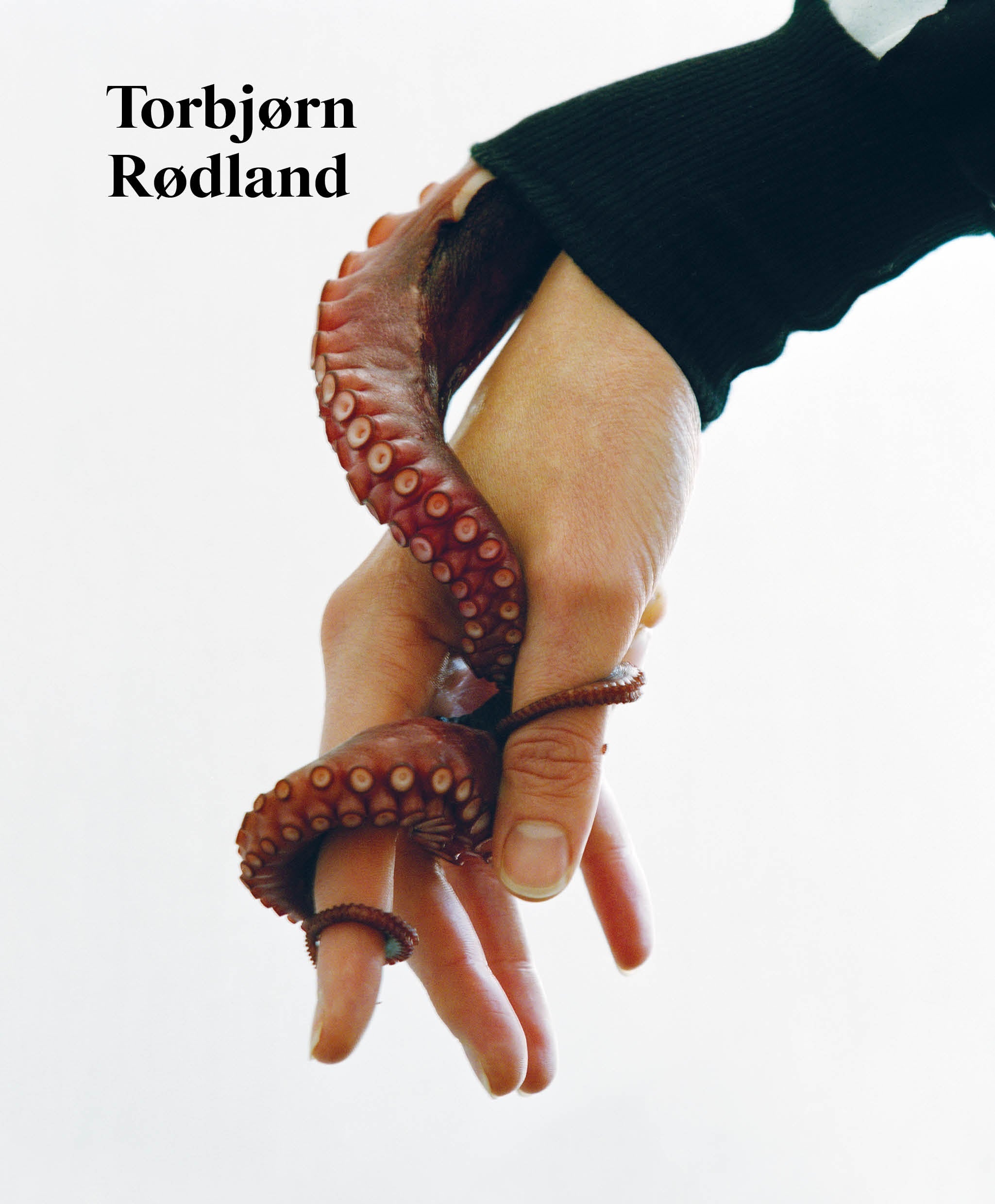Torbjørn Rødland – Serpentine Galleries