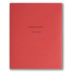 Joseph Grigely, Blueberry Surprise Publication